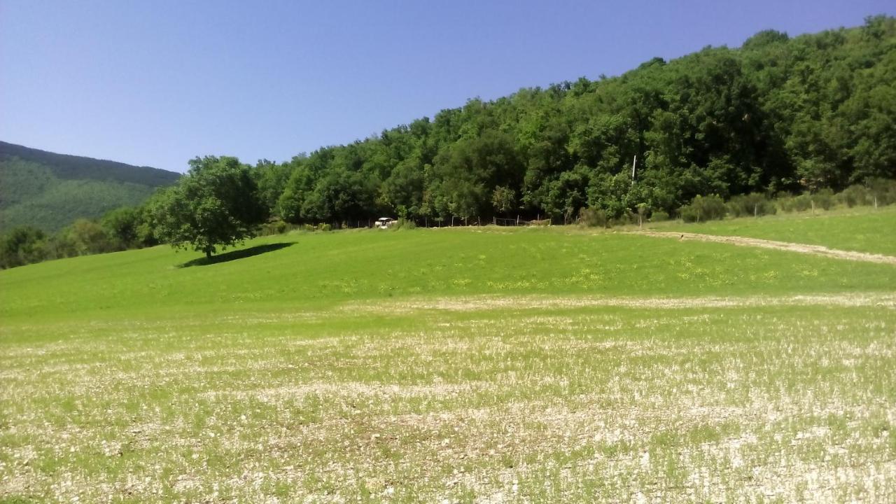 Agriturismo Il Casale Degli Amici Νόρτσια Εξωτερικό φωτογραφία